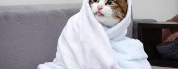 Надзвичайно сурова зима 2022-2023: правда чи вигадка